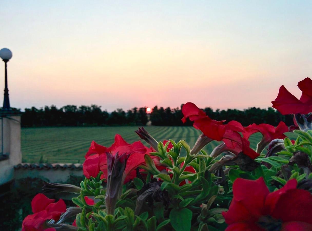 Agriturismo Corte Bebbi Bibbiano  Esterno foto